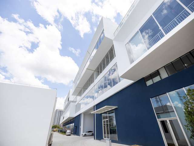 安徽有什么黄精招商